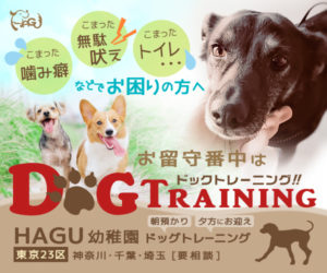 東京の世田谷区と文京区の犬のしつけ教室「犬のしつけハグ」のバナー