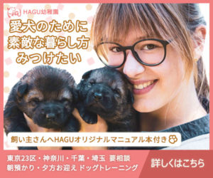 東京の世田谷区と文京区の犬のしつけ教室「犬のしつけハグ」犬の幼稚園募集のバナー