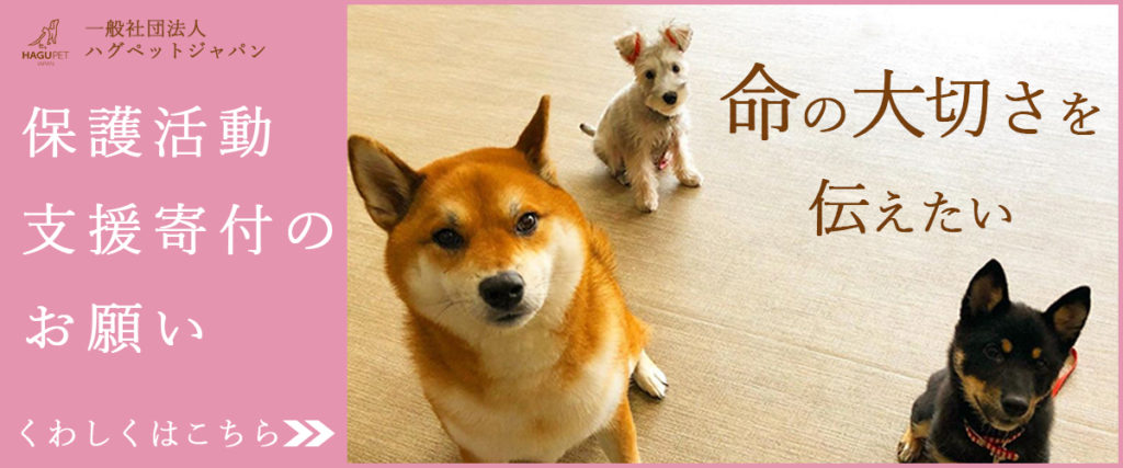 東京の世田谷区と文京区の犬のしつけ教室運営の一般社団法人ハグペットジャパンの寄付のお願いのバナー