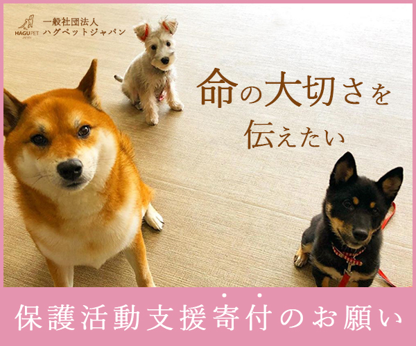 東京の保護犬の活動を行う一般社団法人ハグぺットジャパン です。ペットと飼い主が、 ずっと共に生きていく大切な家族でいるために
